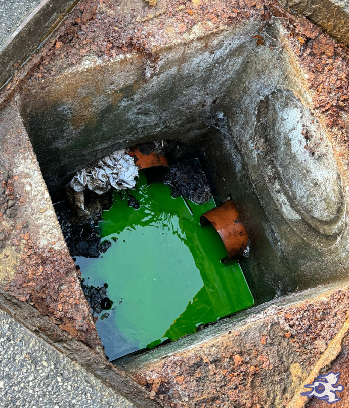 Dégoutage Fluorisine sur Charleroi